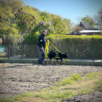 2024 06 02 09.47.100691