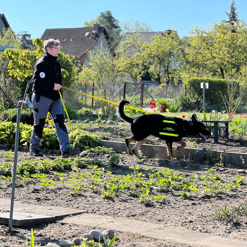 2024 06 02 09.47.110692