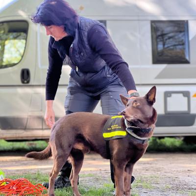 2024 06 02 09.47.110694