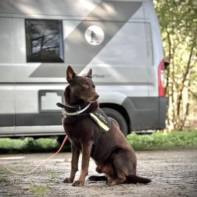 2024 06 02 09.47.130699