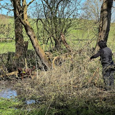 2024 06 02 09.47.130700