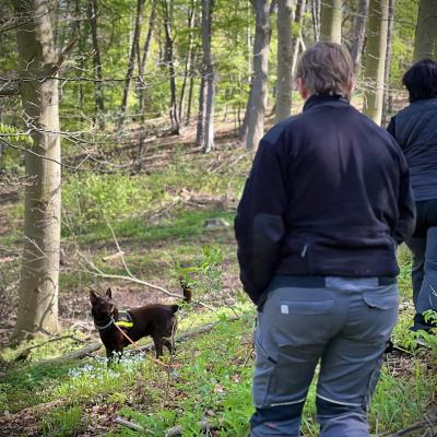 2024 06 02 09.47.140703