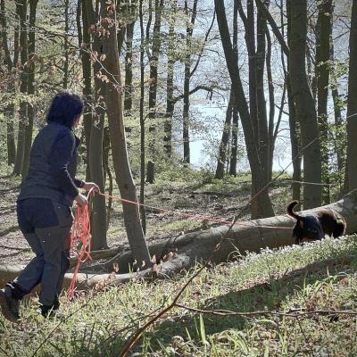 2024 06 02 09.47.140704