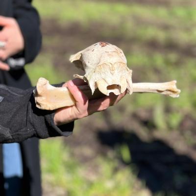 2024 06 02 09.47.140705