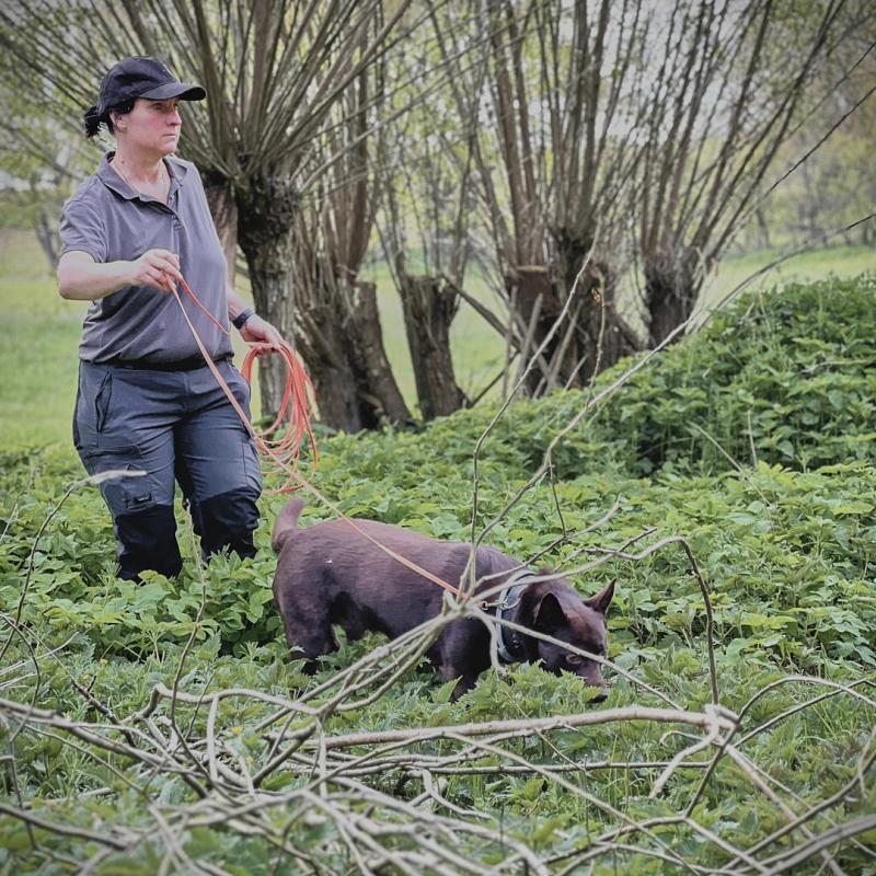 2024 06 02 09.47.150709