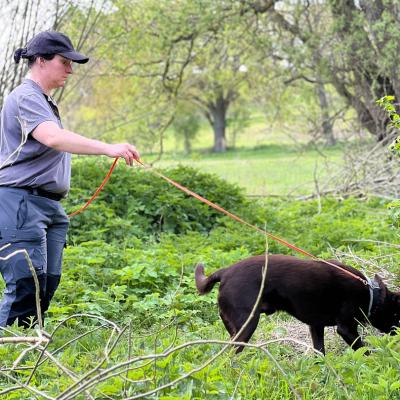 2024 06 02 09.47.150710