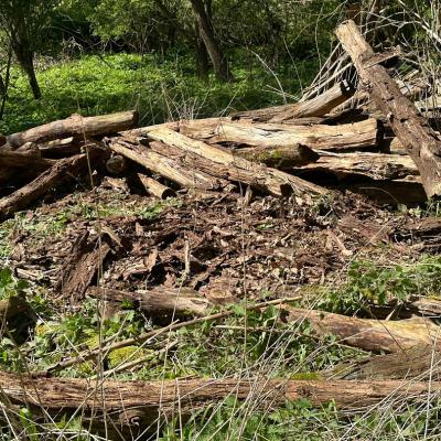 2024 06 02 09.47.160715