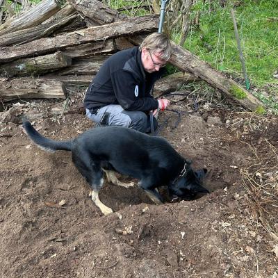 2024 06 02 09.47.160716