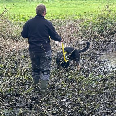 2024 06 02 09.47.180722